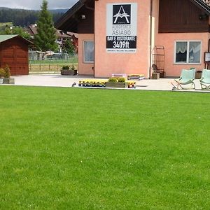 B&B 3409Ft Aeroporto